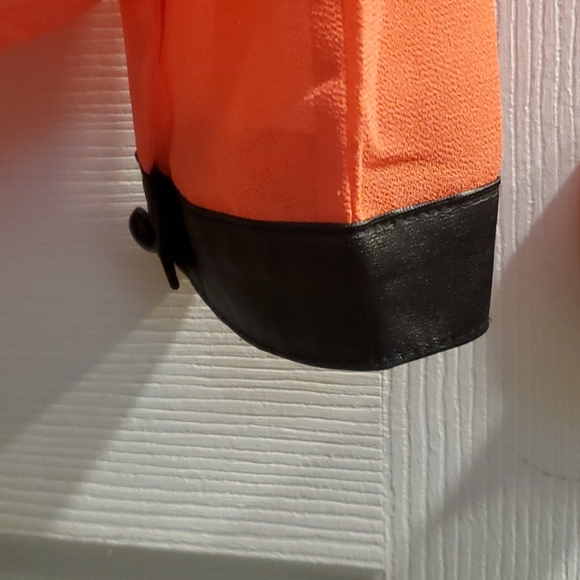 Sheer Blouse - Picture 4 of 5